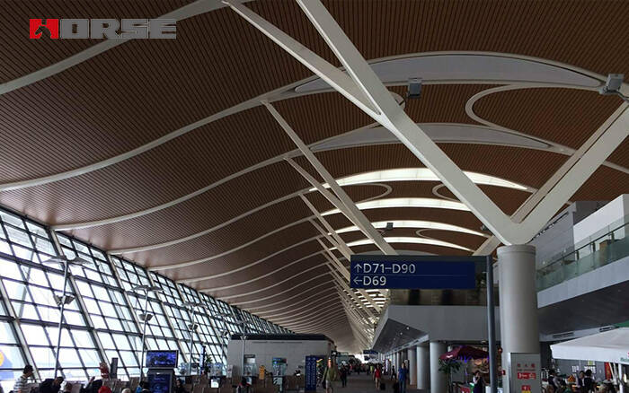 Pudong Uluslararası Havaalanı.jpg Pudong Uluslararası Havaalanı.jpg