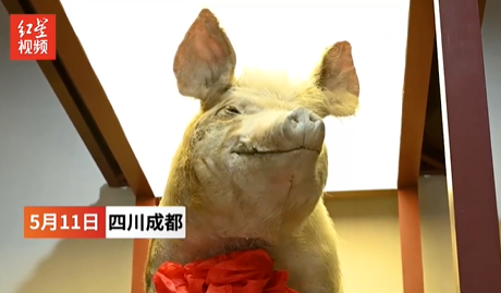 1652341147841072.png zhu2.png