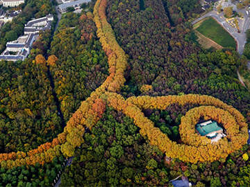 Ankraj takviyesi: Nanjing Meiling Sarayı